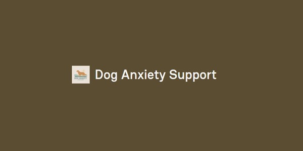 Crate Training Tips for Dogs with Panic Attacks Building Calm Through Structure