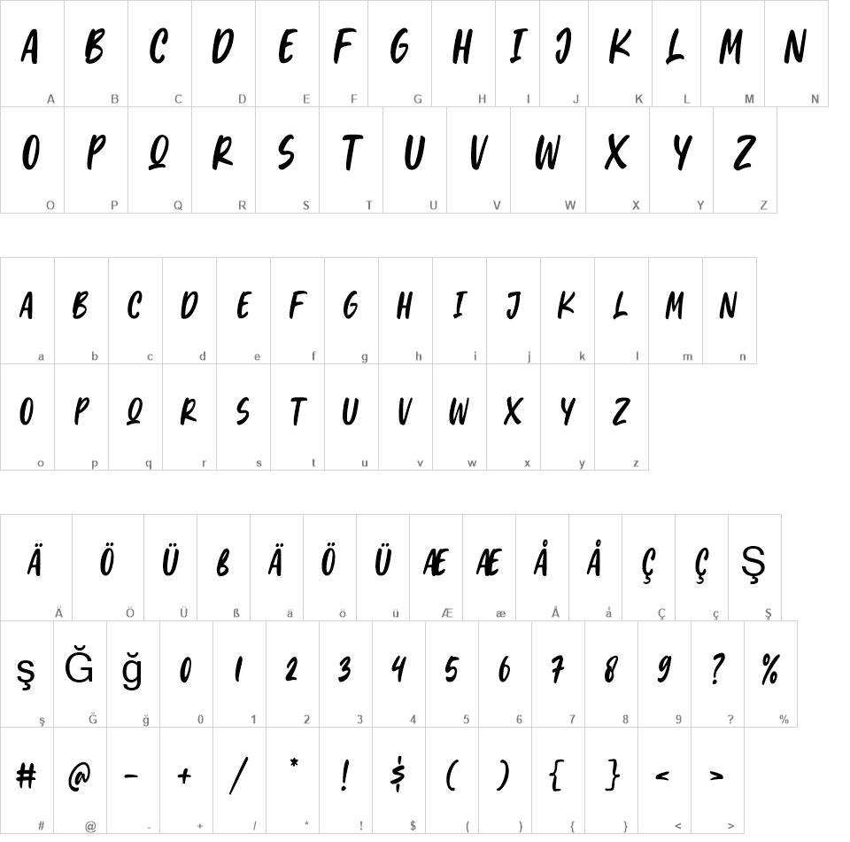 Light In Brush Free Font