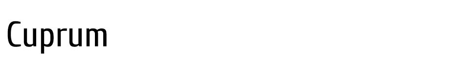 Google Fonts Download