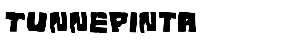 Tunnepinta Font font