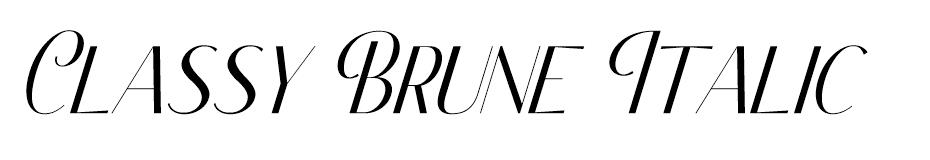 Classy Brune Font Family font
