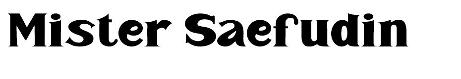 Mister Saefudin font