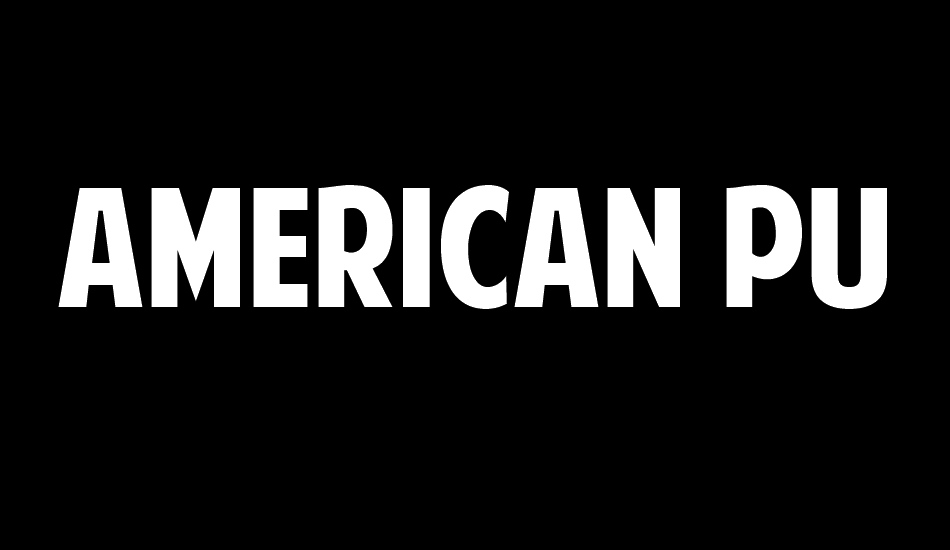 American Purpose font big