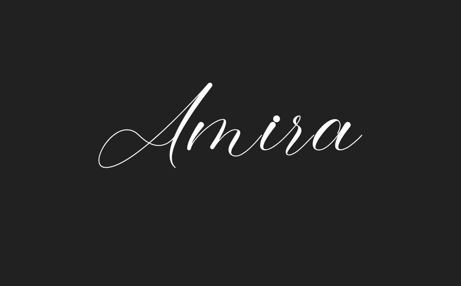 Amira font big