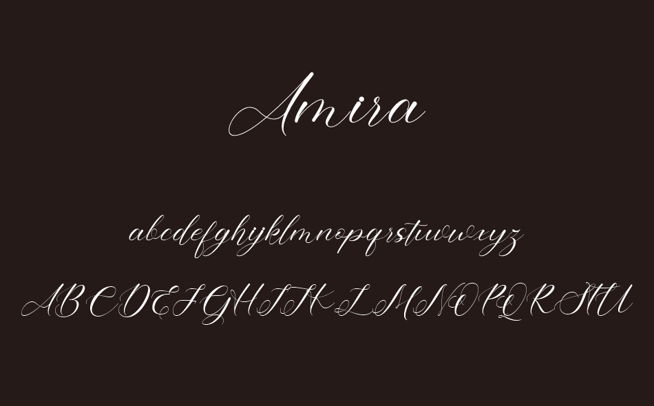 Amira font