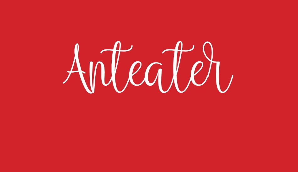 Anteater font big