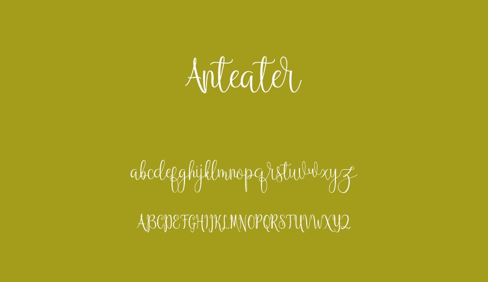 Anteater font