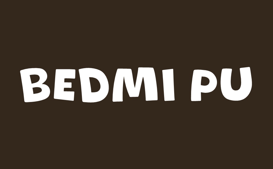 Bedmi Puri font big