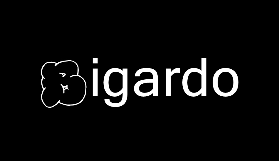 Bigardo Fanzine 3 font big