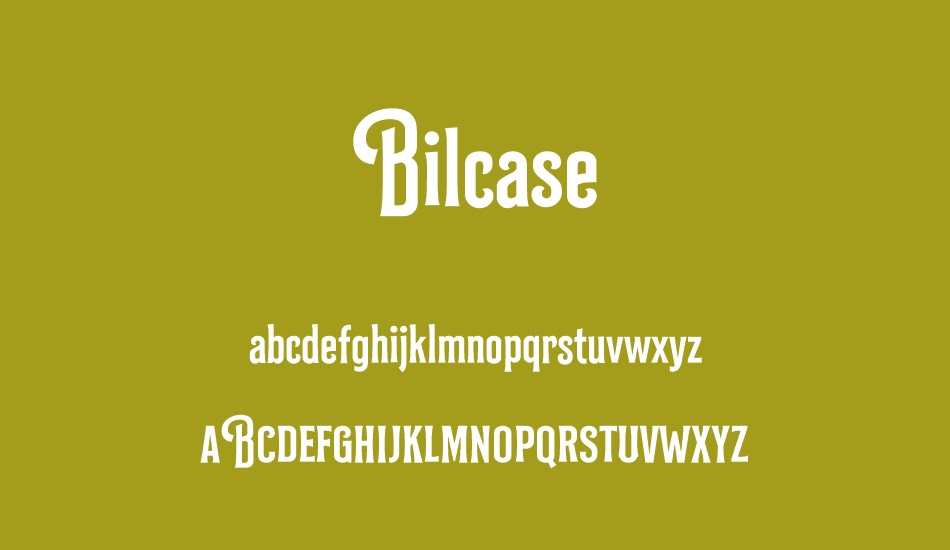 Bilcase Demo Demo font