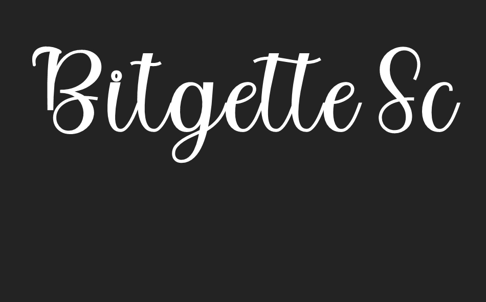 Bitgette Script font big