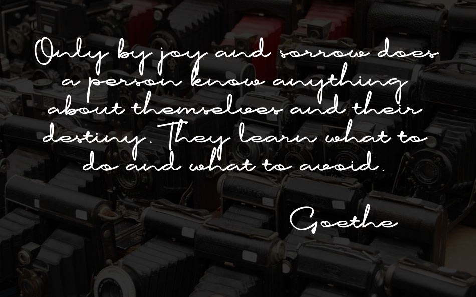 Bosrake font text