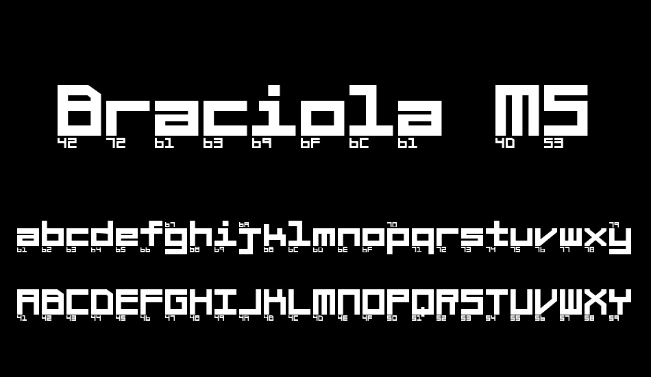 Braciola MS ExB Ascii font