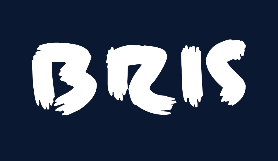 Brisk Bristle Brush font big