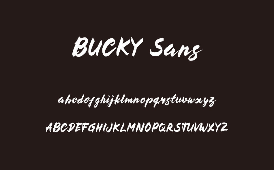 Bucky Sans font