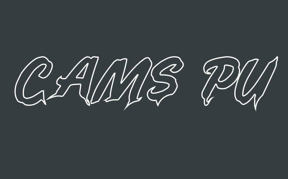 Cams Punks font big