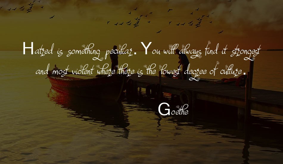 Dafodyl font text