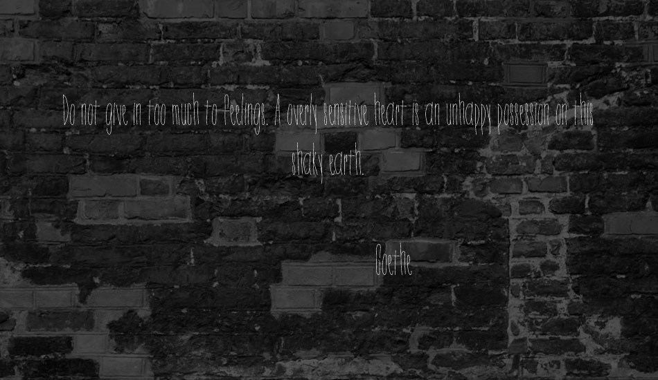 Dorothy Miranda font text
