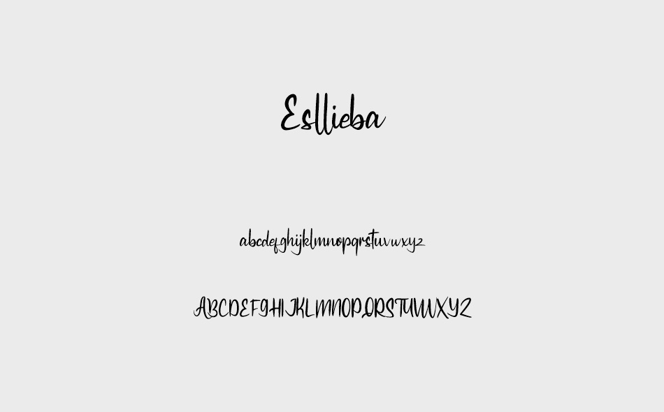 Esllieba font