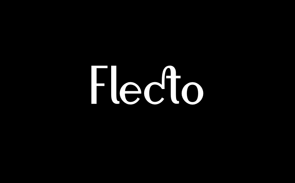 Flecto font big