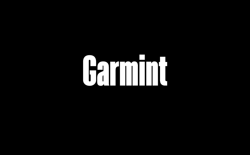 Garmint font big