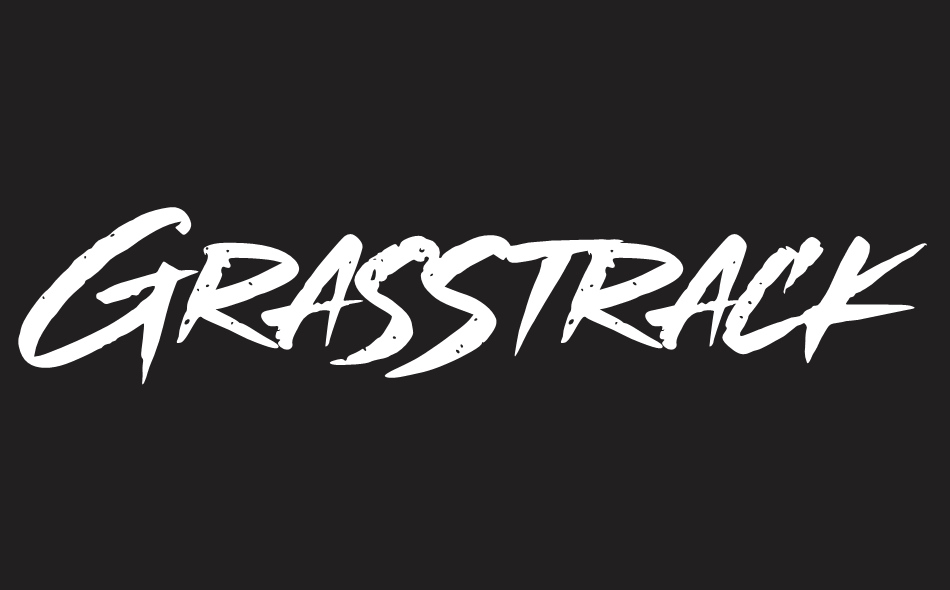 Grasstrack font big