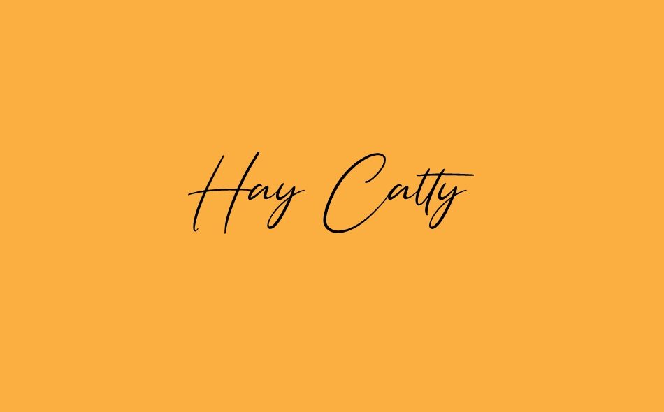 Hay Catty font big