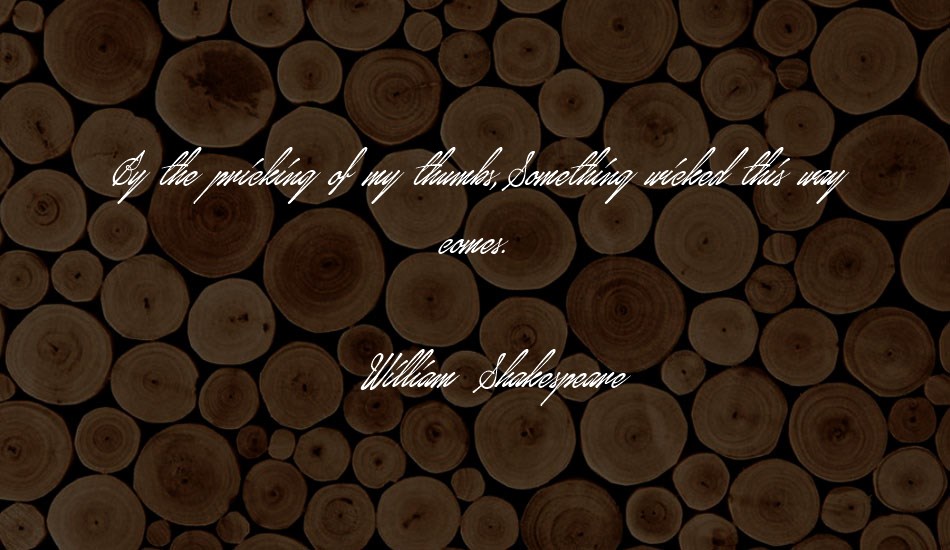 january-script-personal-use font text