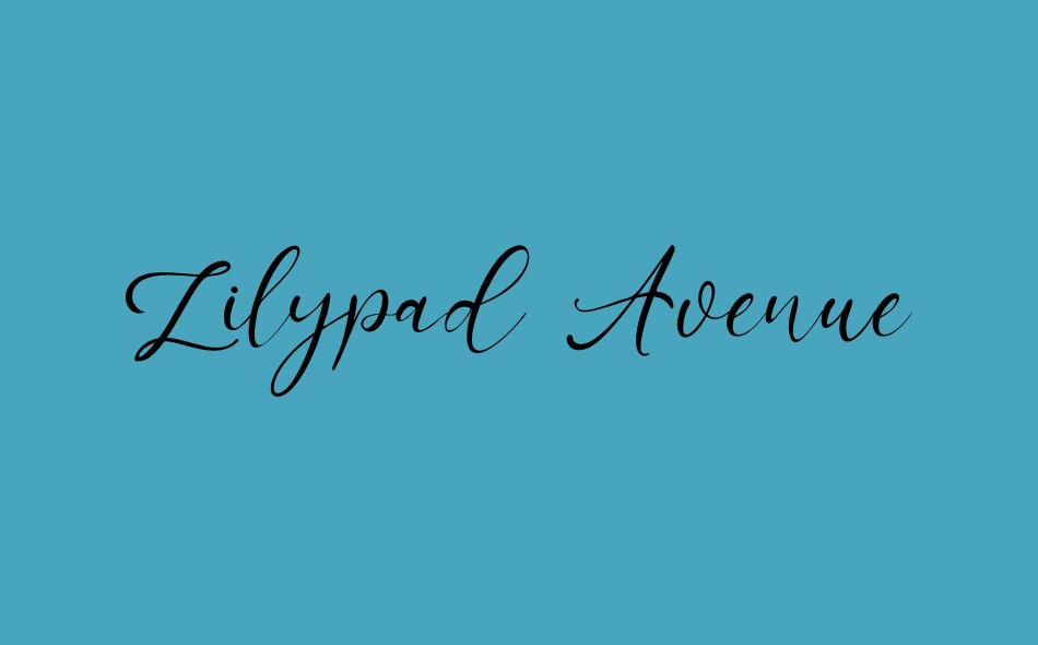 Lilypad Avenue font big