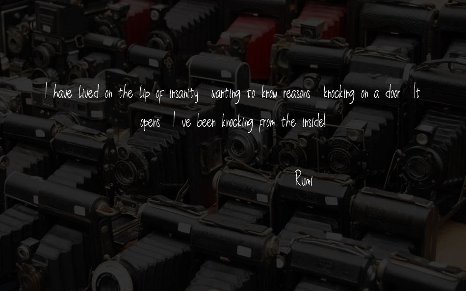 Little Rise font text