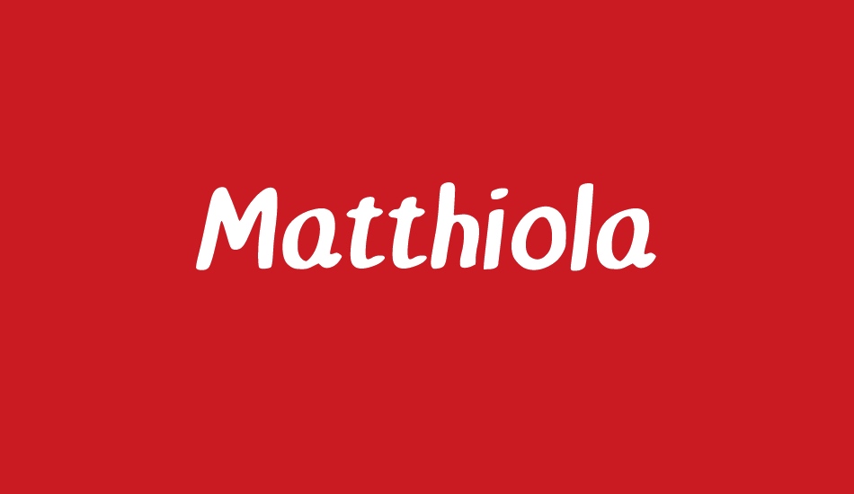 Matthiola font big