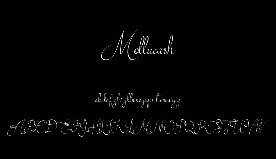 Mollucash font