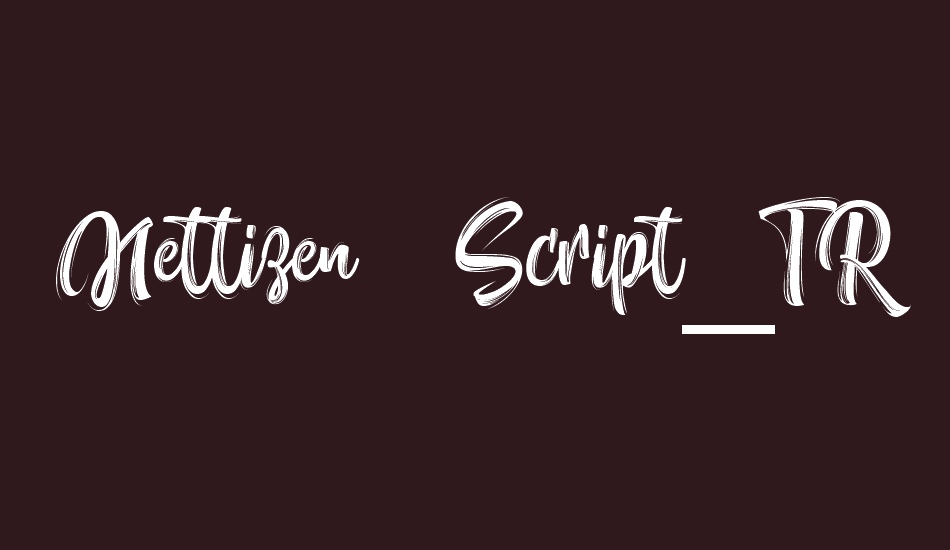 Nettizen Script_TRIAL font big