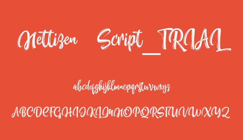 Nettizen Script_TRIAL font