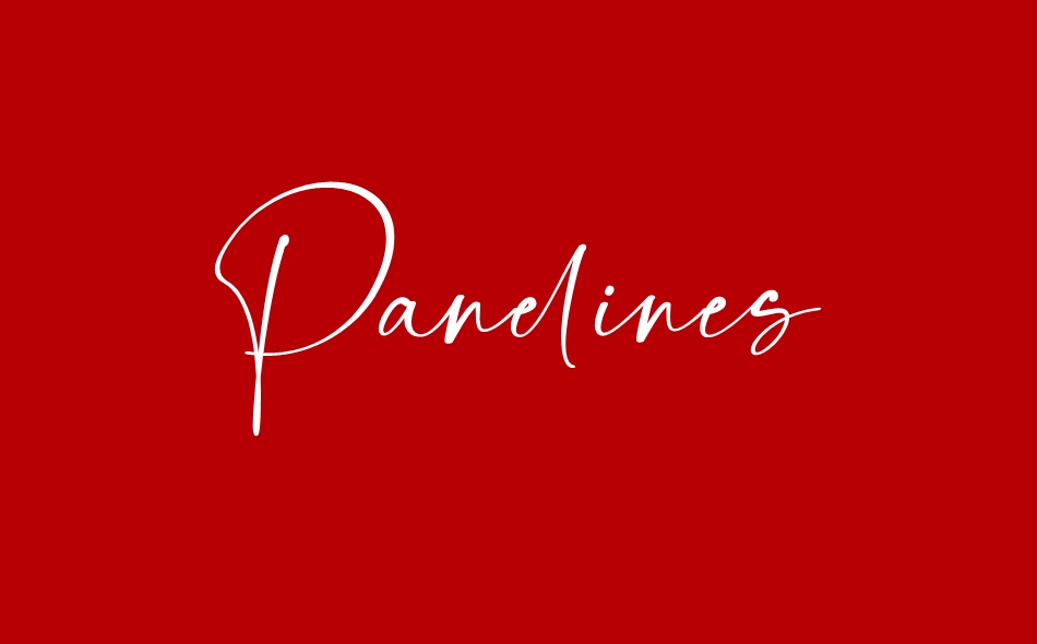 Panelines font big