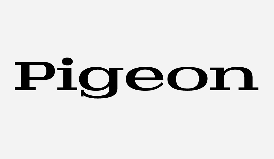 pigeon-personal font big