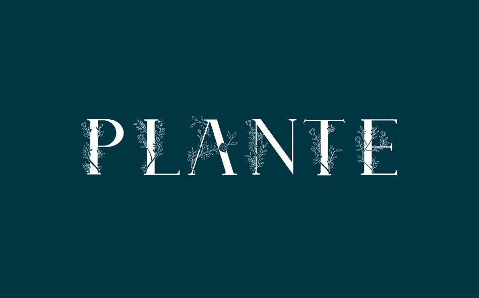 Plante font big