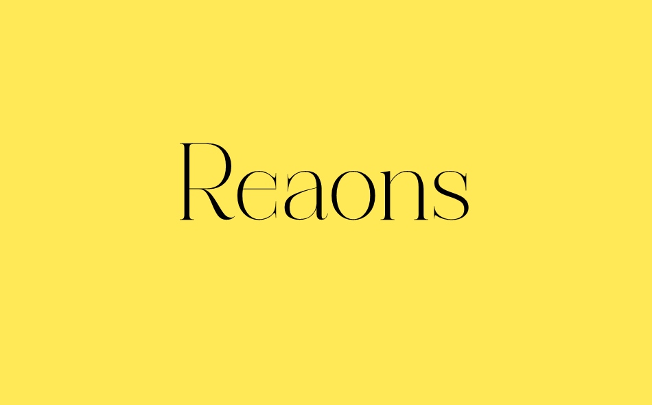 Reaons font big
