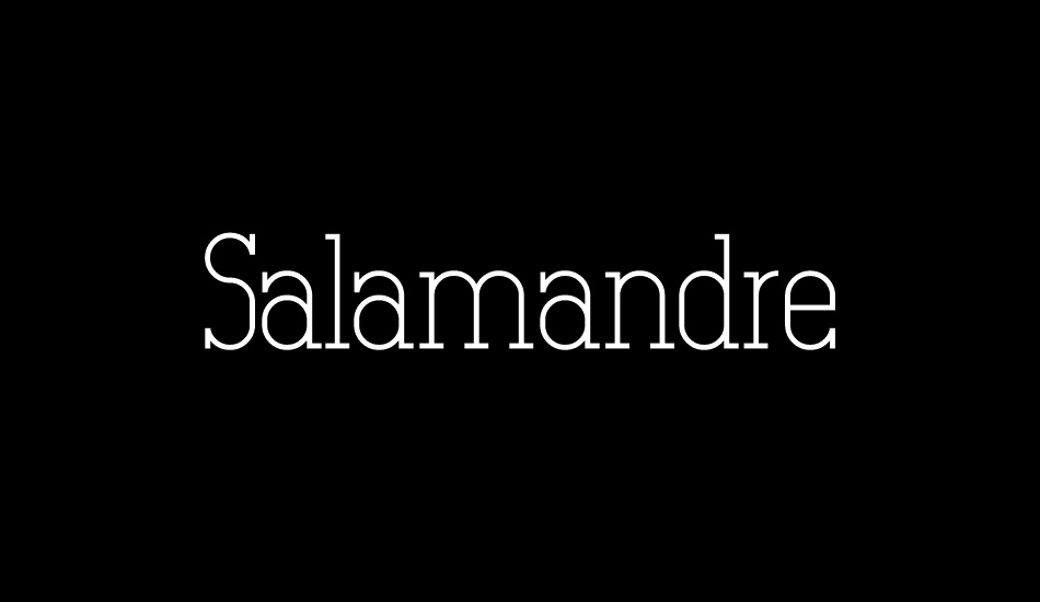 salamandre font big