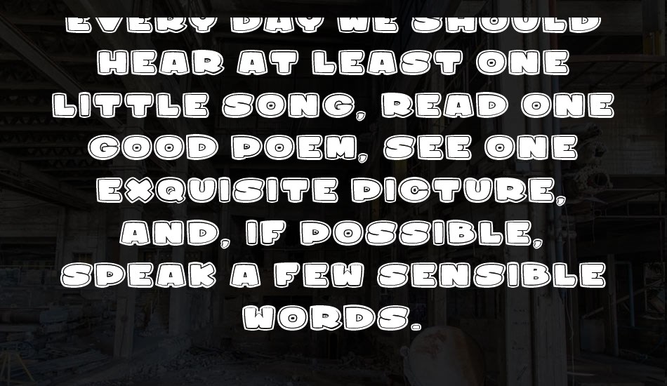 sharky&meduza font text