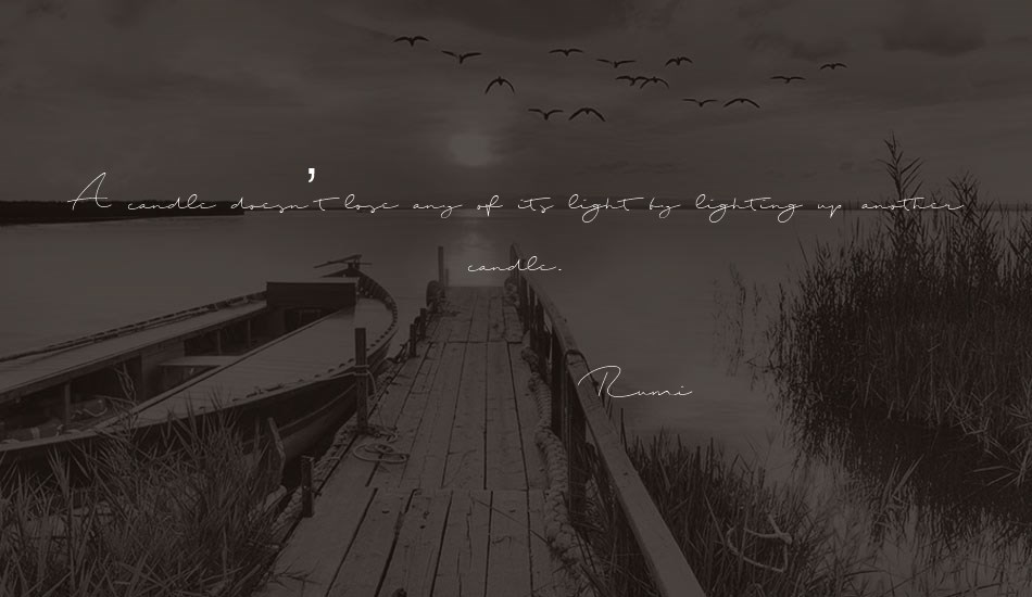 shopping-script-demo font text