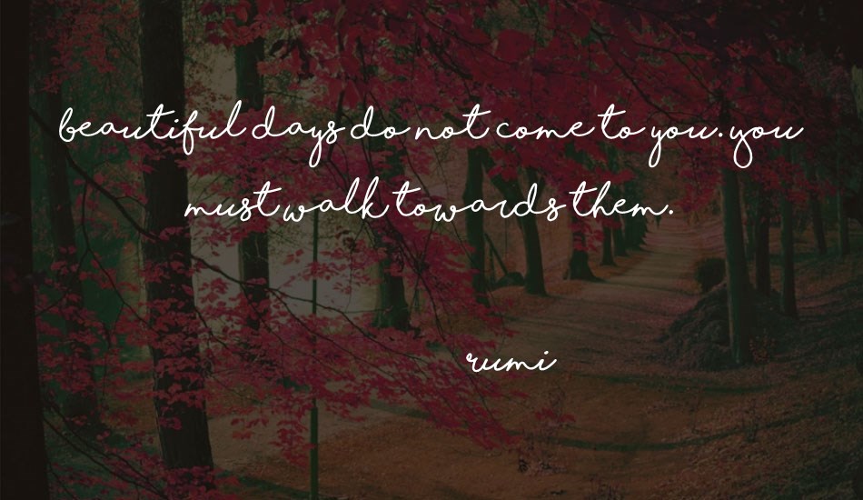 shorelines-script-bold font text