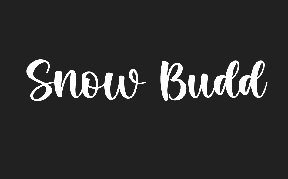 Snow Buddy font big