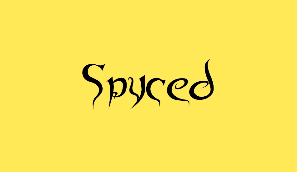 spyced font big