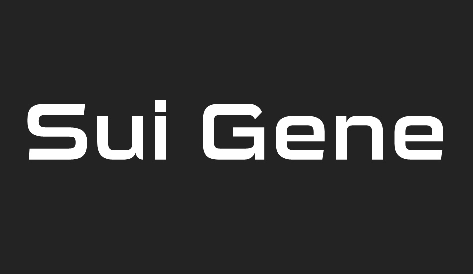 sui-generis-rg font big