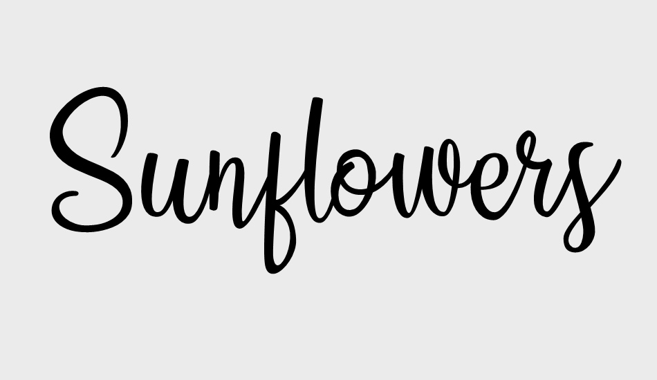 sunflowers font big