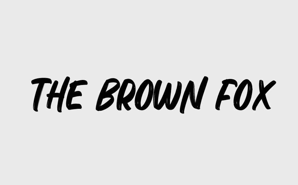 The Brown Fox font big