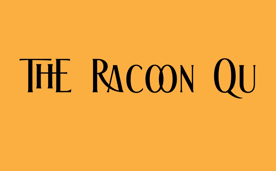 The Racoon Quest font big