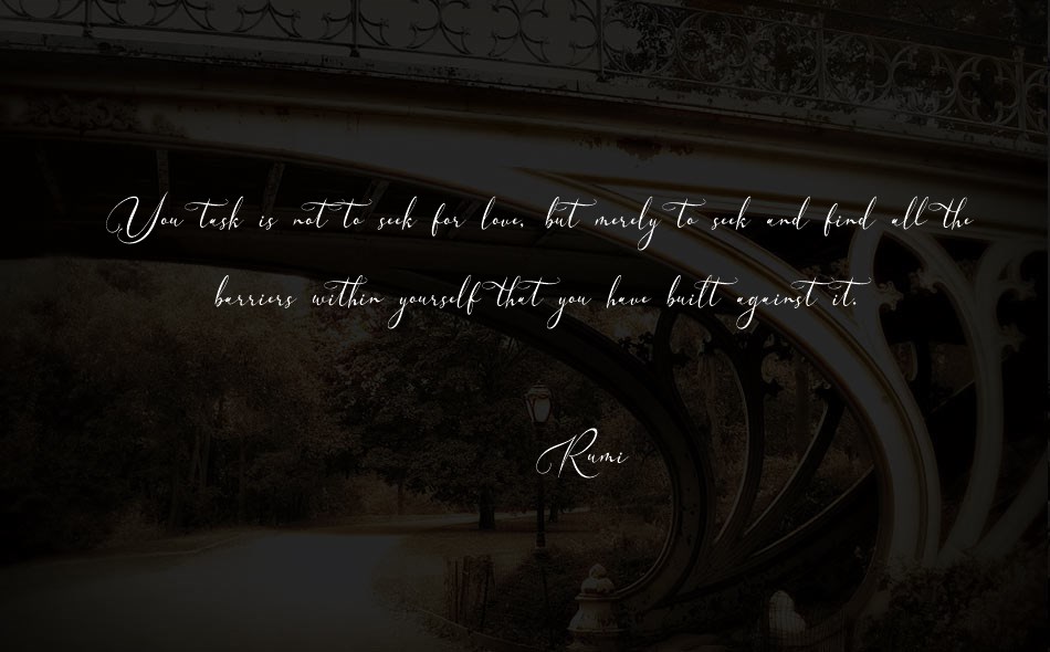Velocity Romantica font text
