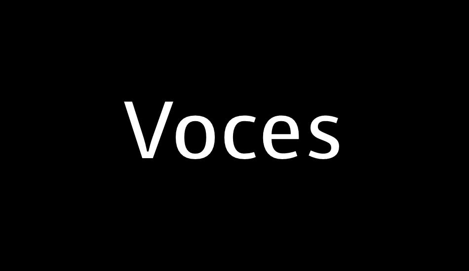 voces font big